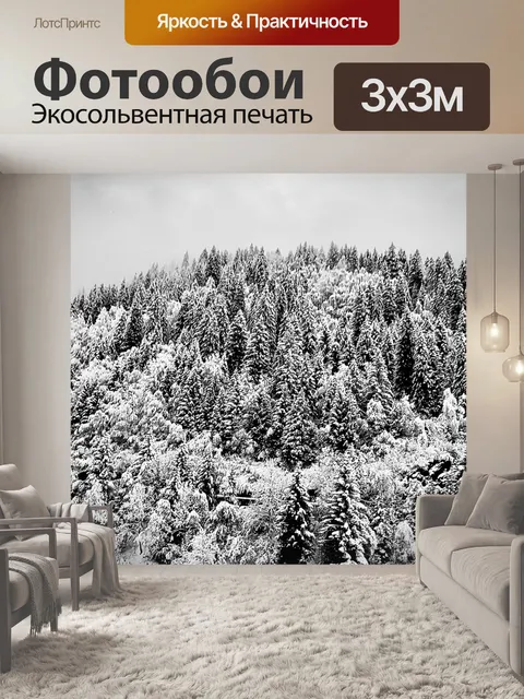 Фотообои Снег