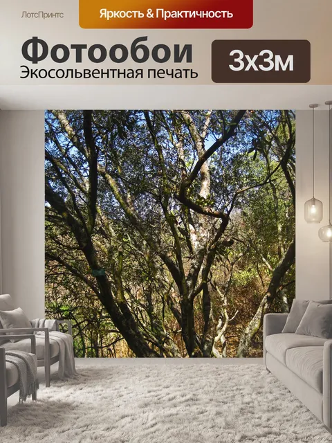 Фотообои дерево с кривой веткой