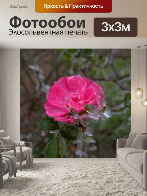Фотообои Розовый