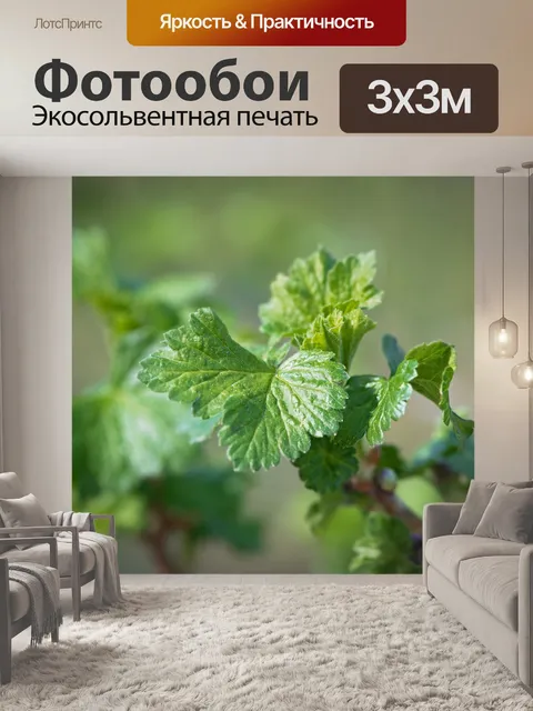 Фотообои Листья