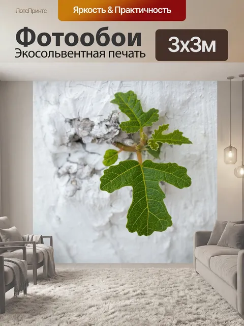 Фотообои Лист