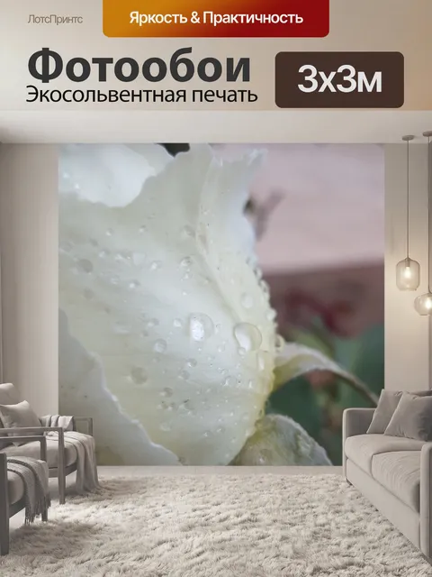 Фотообои Роза