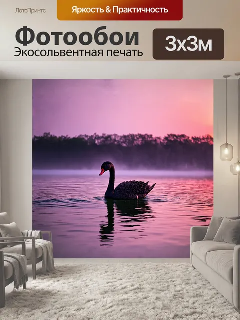 Фотообои на закате черный лебедь плавно пересекает пруд