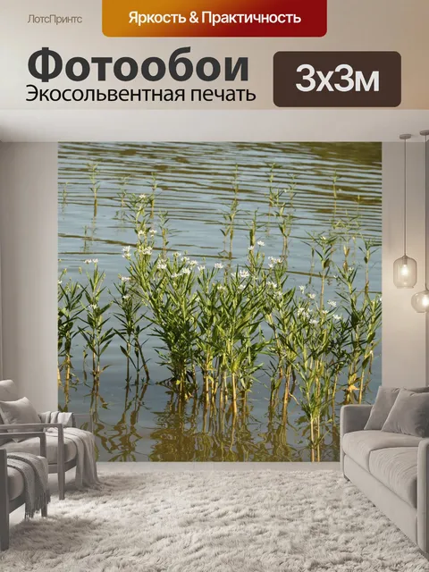 Фотообои Американская ива в озере
