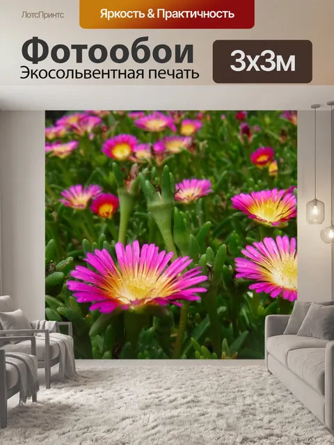 Фотообои Цветов