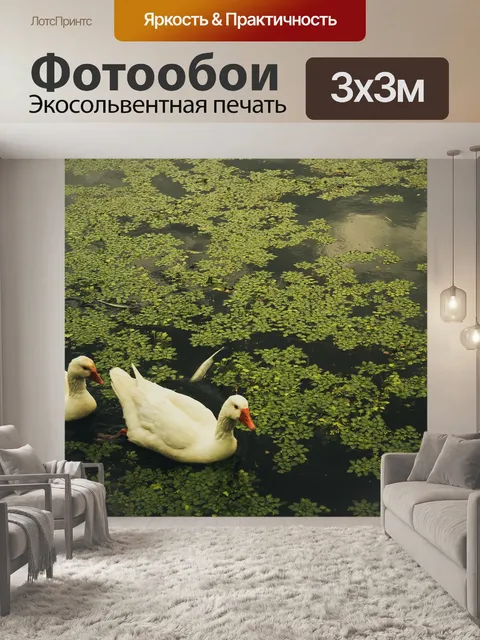 Фотообои Гуси