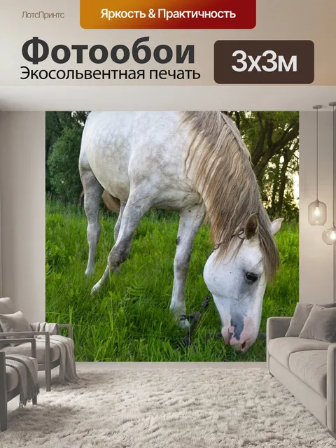 Фотообои Лошади