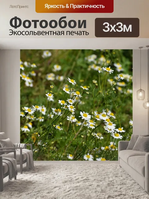Фотообои Цветы
