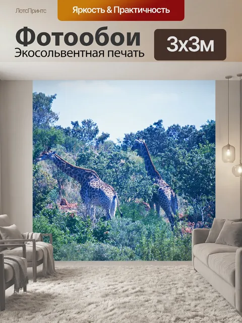 Фотообои просматривая жирафа в африканском кустар