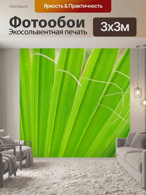 Фотообои Джеймс