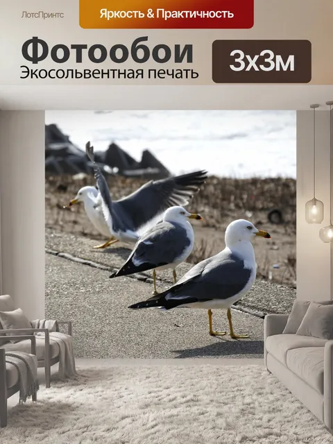 Фотообои Животное