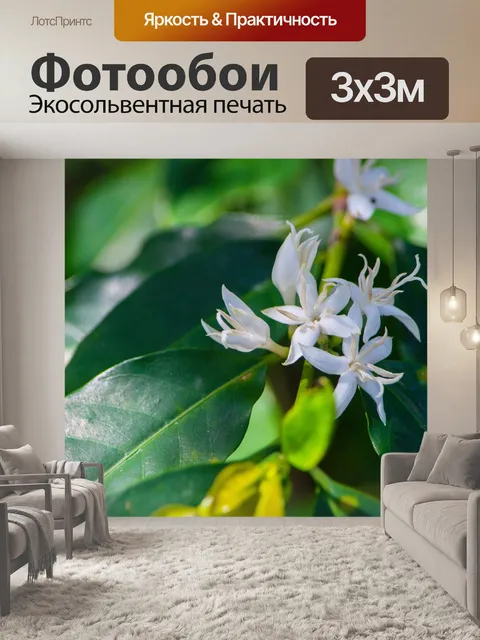Фотообои Цветы