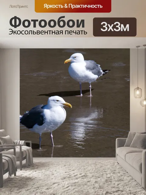 Фотообои Морские чайки