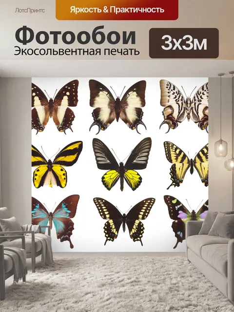 Фотообои Бабочки