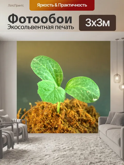 Фотообои Молодое дерево