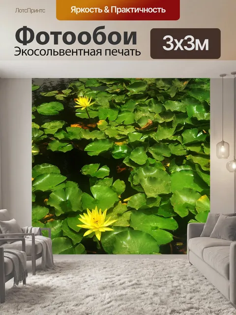 Фотообои ритмичной лилии