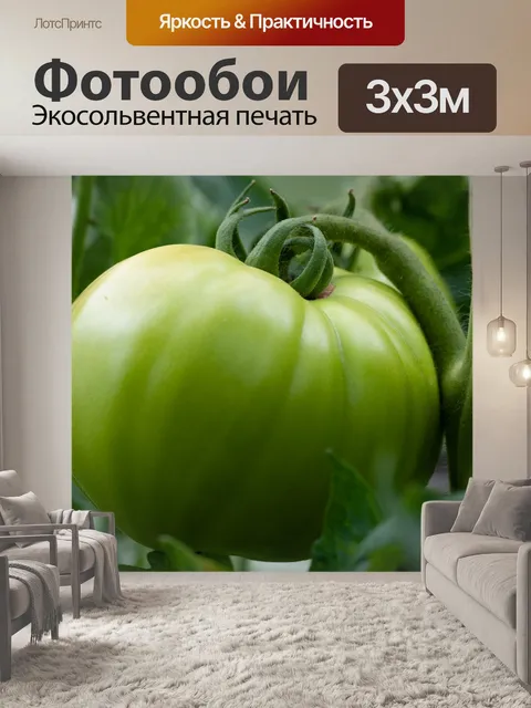 Фотообои Зеленый