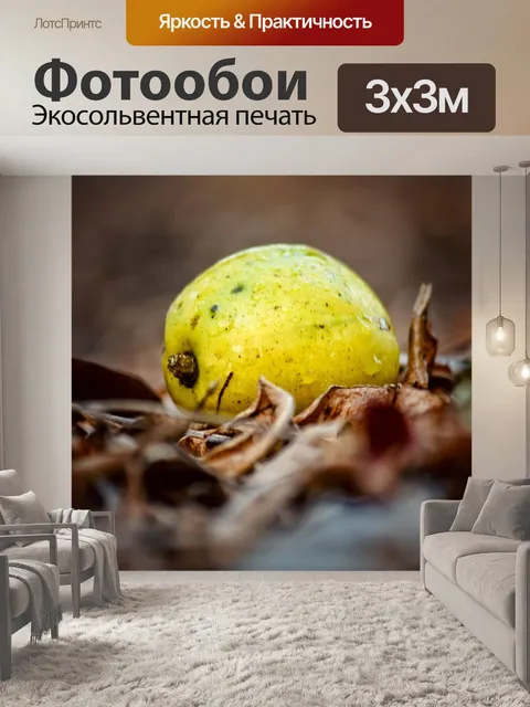 Фотообои Золотое яблоко