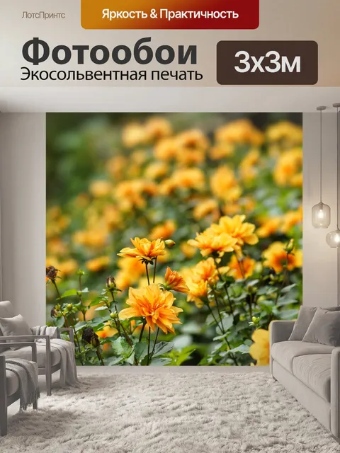 Фотообои Сад Далия Апельсиновый пигмей