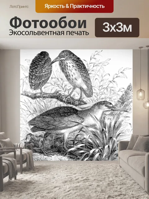 Фотообои Ночные цапли