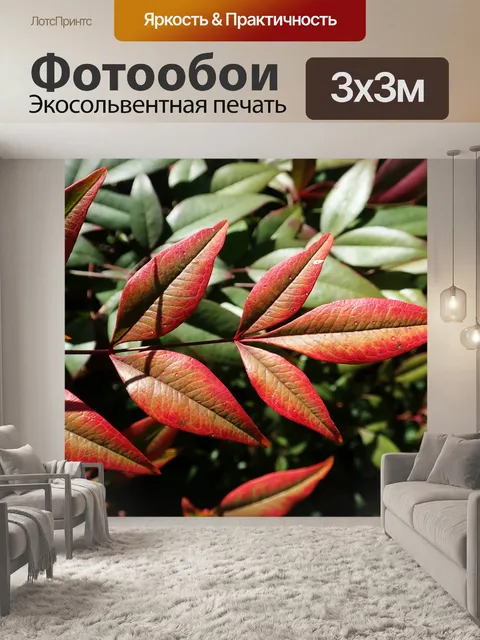 Фотообои Листья