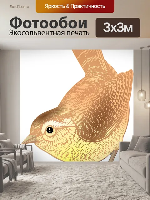 Фотообои Птица