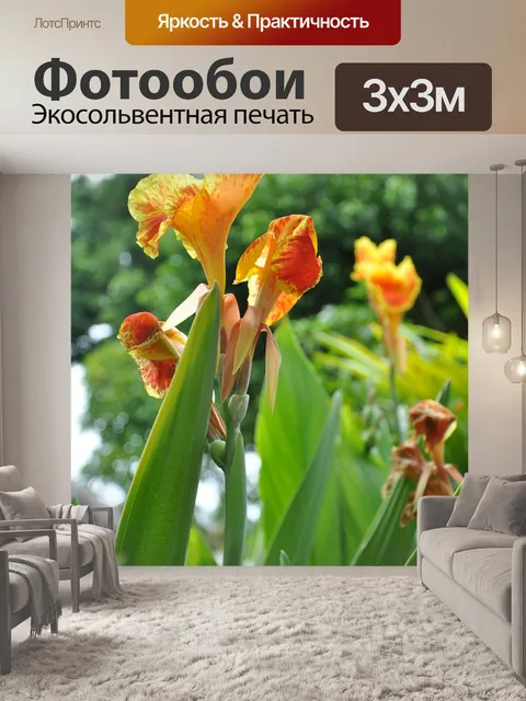 Фотообои Цветы