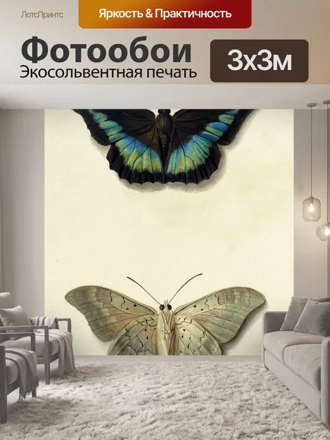 Фотообои бабочка