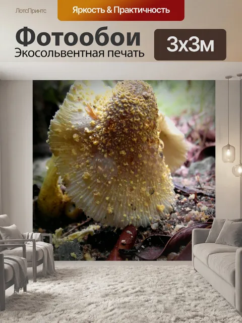 Фотообои Желтые Лесные грибы