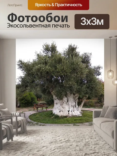 Фотообои Оливковый
