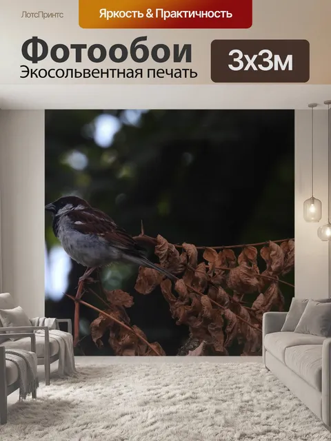 Фотообои Птица