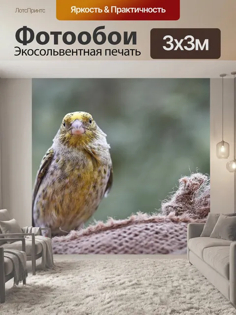 Фотообои Птица