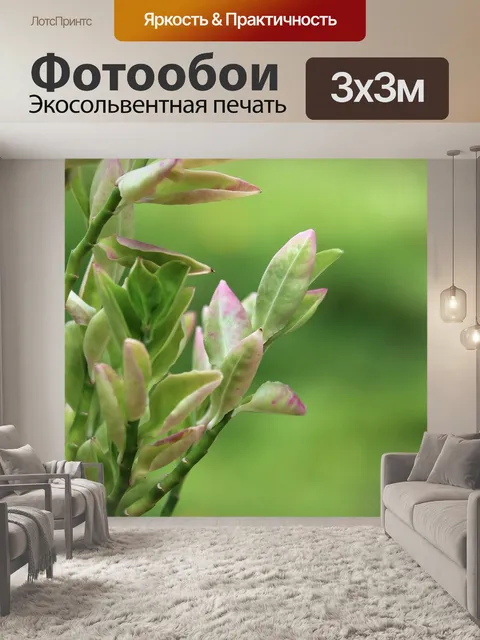 Фотообои Листья