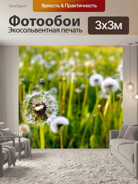 Фотообои Одуванчики