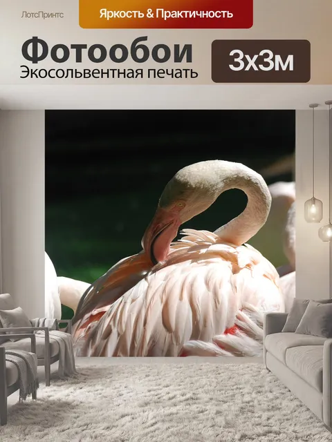 Фотообои Птицы