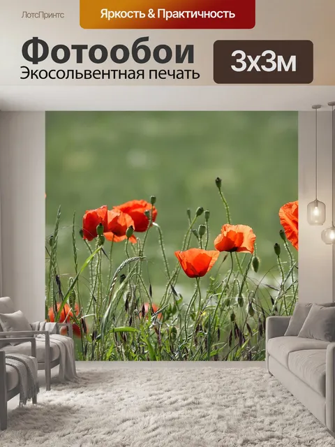 Фотообои Цветы мака