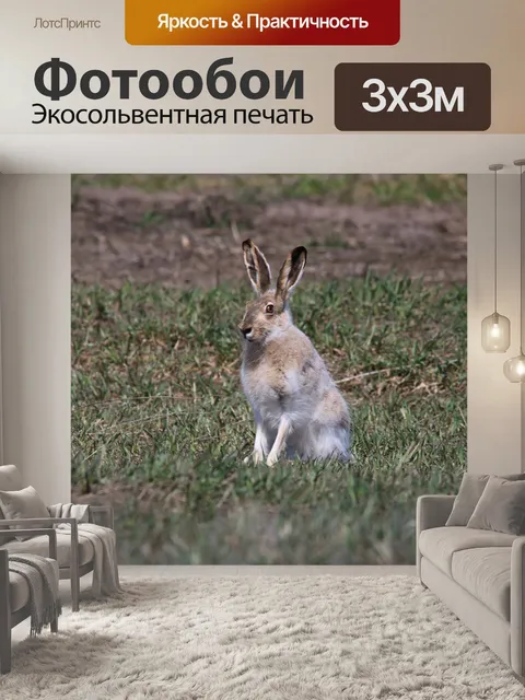 Фотообои Зайчик