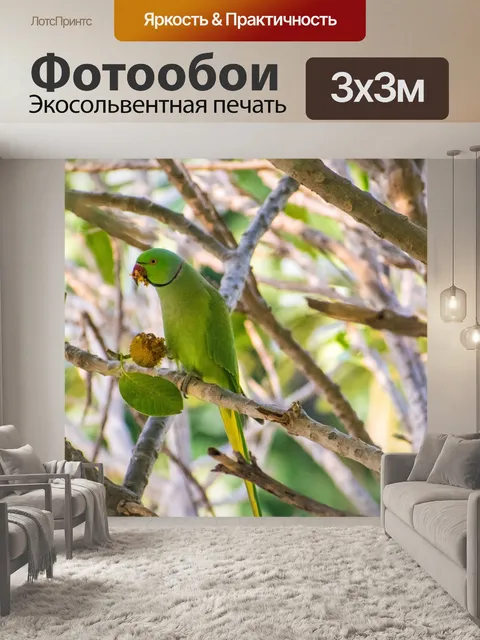 Фотообои Попугай