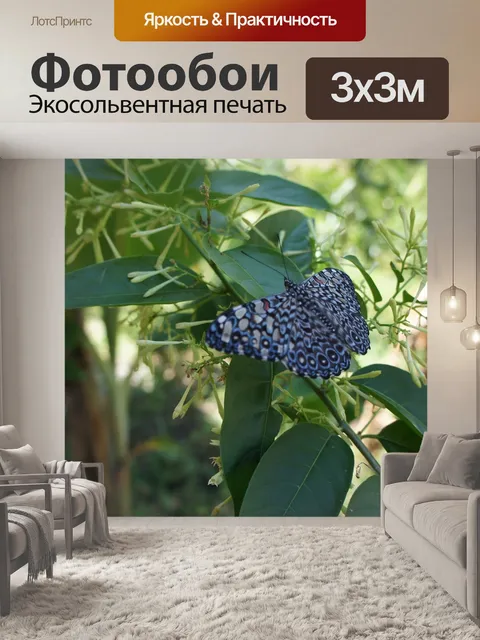 Фотообои Природа