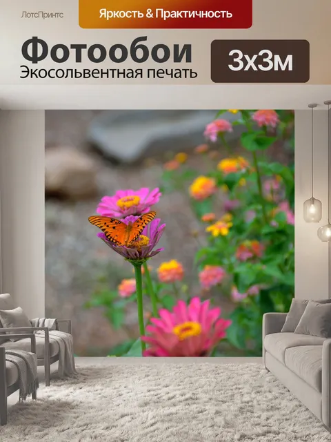 Фотообои Залив Fritillary Бабочка