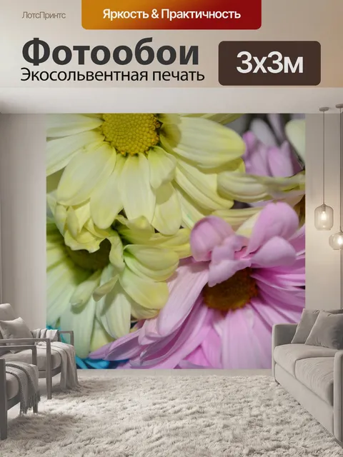 Фотообои Цветет Ромашки Цветы макро A2