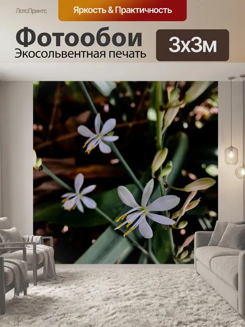 Фотообои Дикий
