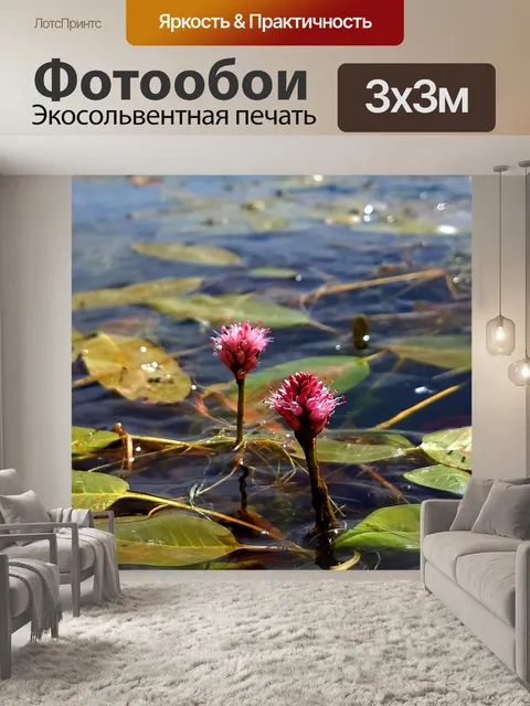 Фотообои Водяная лилия