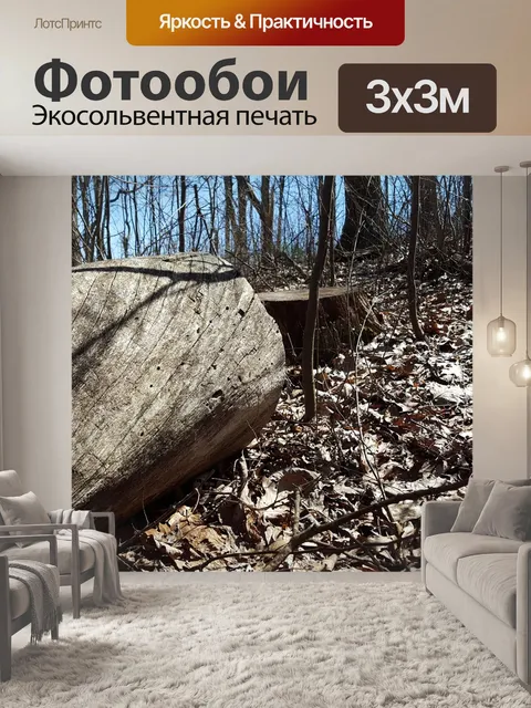 Фотообои Лес
