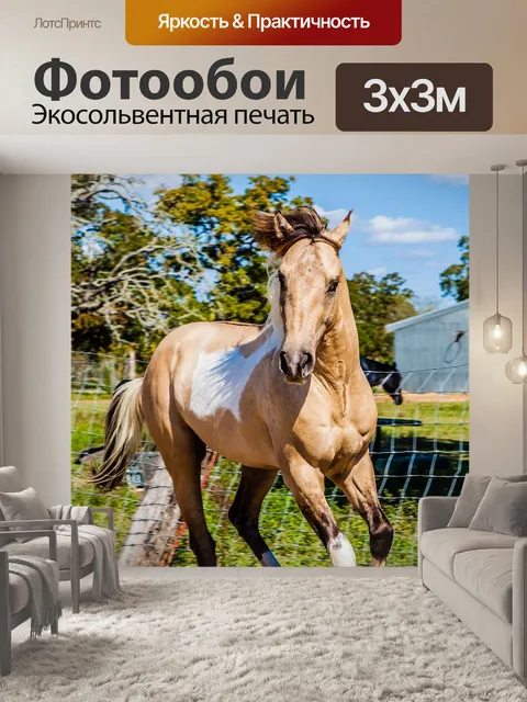 Фотообои Лошадь