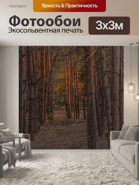 Фотообои Лес
