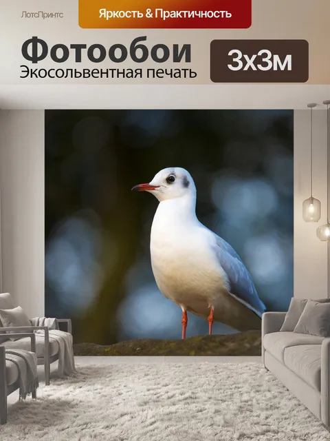 Фотообои Seagulls