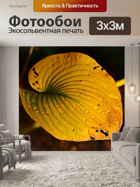 Фотообои Лист хосты