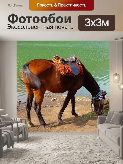 Фотообои Лошадь