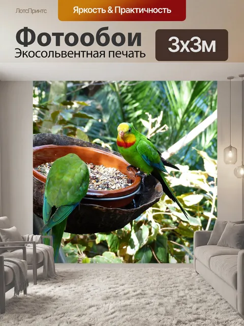Фотообои Попугаи